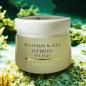 Preview: Dose im Badezimmer vom Superior Spezial Extraordinary Laminaria Hyaluron Gesichtscreme Preview: Dose im Badezimmer vom Superior Spezial Extraordinary Laminaria Hyaluron Gesichtscreme