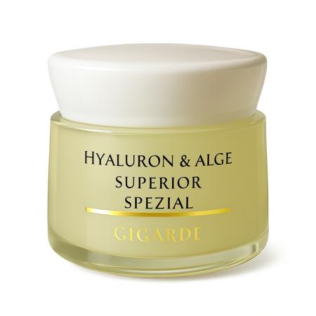 Dose vom Superior Spezial Extraordinary Laminaria Hyaluron Gesichtscreme